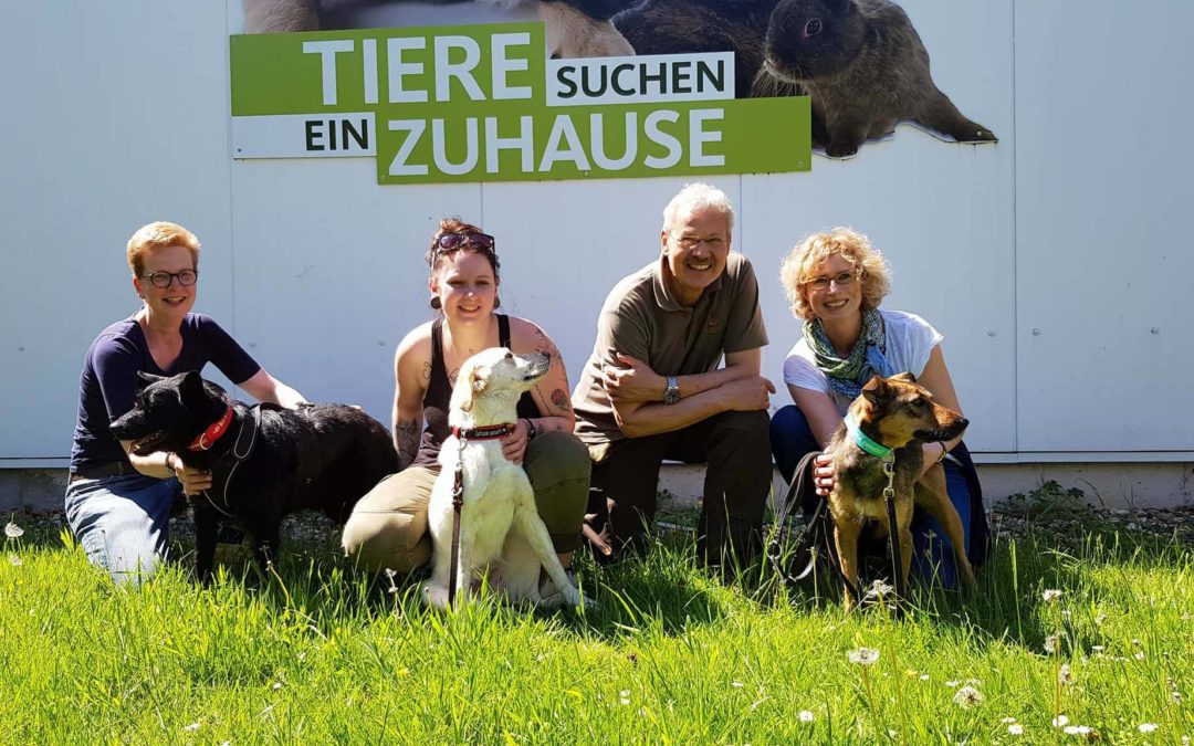 Sendung „Tiere suchen ein Zuhause“ im WDR am 13.05.2018