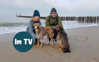 Emi  und Max im Fernsehen