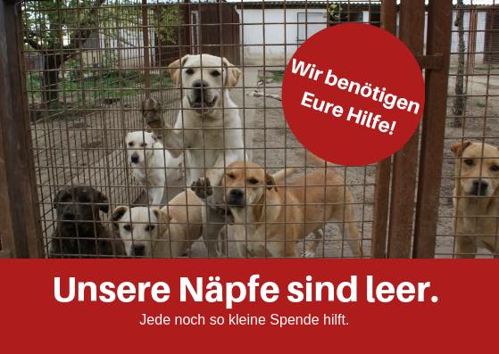 Helft uns bitte, die Näpfe zu füllen!