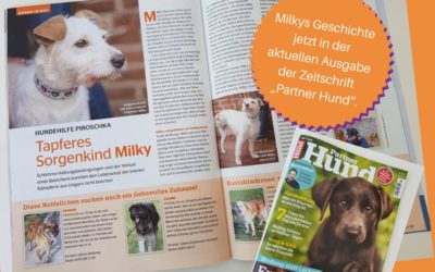 Milky in der aktuellen Ausgabe der Zeitschrift „Partner Hund“