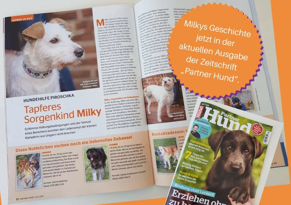 Milky in der aktuellen Ausgabe der Zeitschrift „Partner Hund“