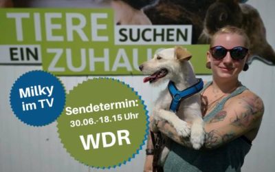 Milky in der Fernsehsendung „Tiere suchen ein Zuhause“