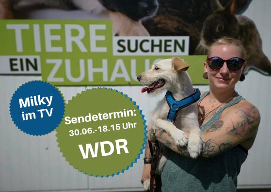 Milky in der Fernsehsendung „Tiere suchen ein Zuhause“