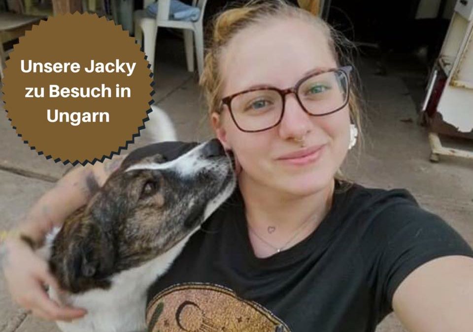 Jacky besucht unser Partnertierheim Koborka