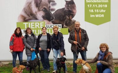 November 2019 zu Gast bei Tiere suchen ein Zuhause