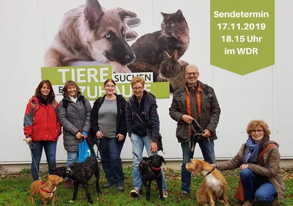 November 2019 zu Gast bei Tiere suchen ein Zuhause