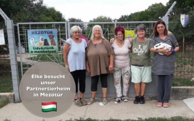 Pflegefrauchen Elke besucht unser Partnertierheim