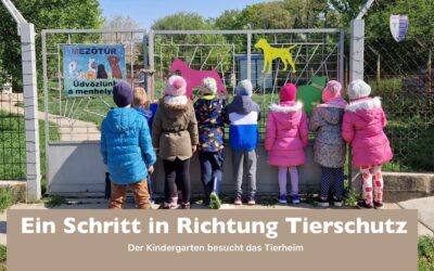 Ein Schritt in Richtung Tierschutz